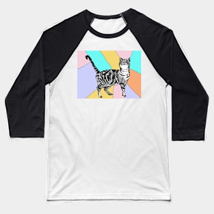 Tabby Cat Striped Cute Cats - Pastel Rainbow Baseball T-Shirt